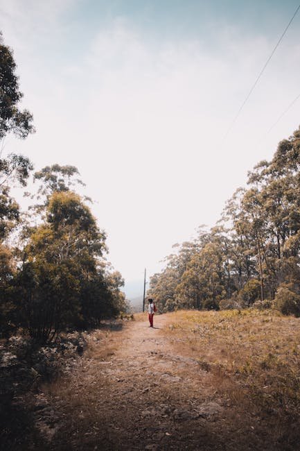 Top Hiking Trails Around the World: Conquer the Peaks